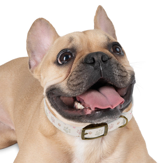 Funny Christian Faith Dog Collar